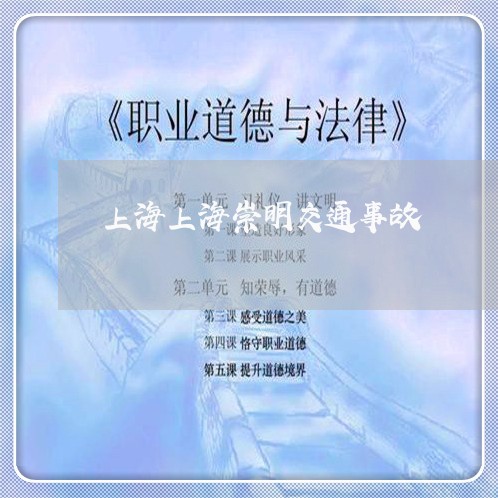 上海上海崇明交通事故/2023021372514 上海上海崇明交通事故/2023021372514