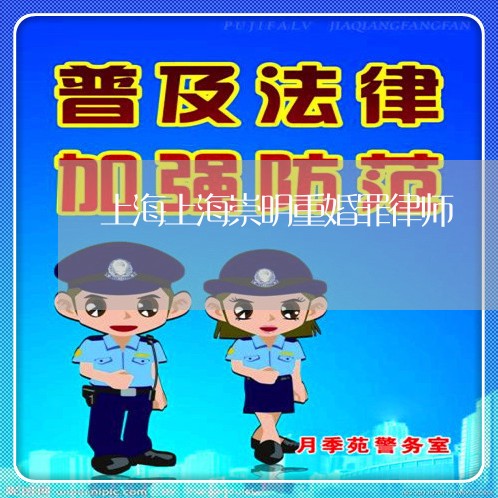 上海上海崇明重婚罪律师/2023030106047