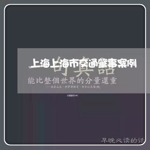 上海上海市交通肇事案例/2023030138250 上海上海市交通肇事案例/2023030138250