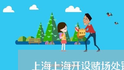 上海上海开设赌场处罚/2023041020692