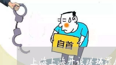 上海上海开设赌场罪从犯/2023030120261