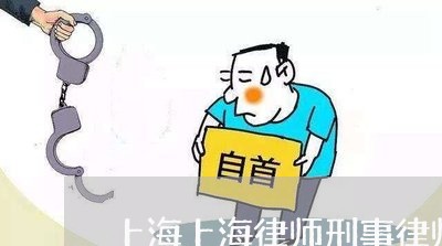 上海上海律师刑事律师/2023021437170 上海上海律师刑事律师/2023021437170