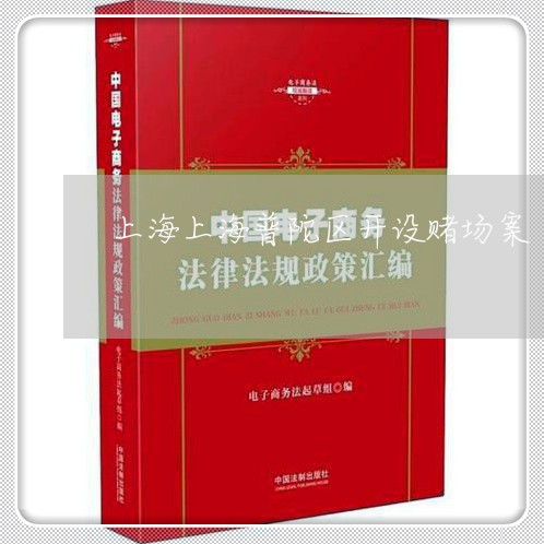 上海上海普陀区开设赌场案/2023032172395