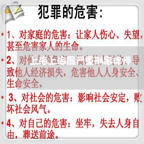 上海上海最严重刑事律师/2023030183937 上海上海最严重刑事律师/2023030183937