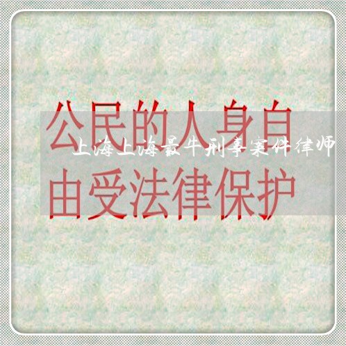 上海上海最牛刑事案件律师/2023032106835 上海上海最牛刑事案件律师/2023032106835
