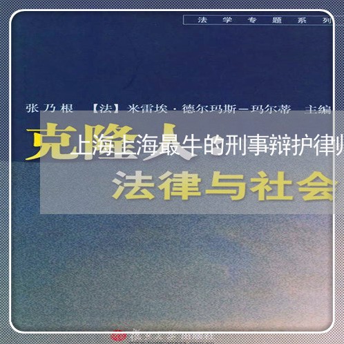 上海上海最牛的刑事辩护律师/2023041461682