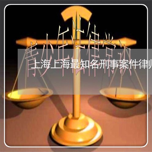 上海上海最知名刑事案件律师/2023041495047