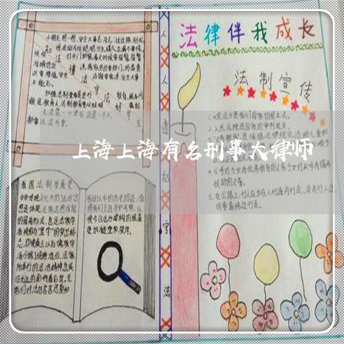 上海上海有名刑事大律师/2023030171804