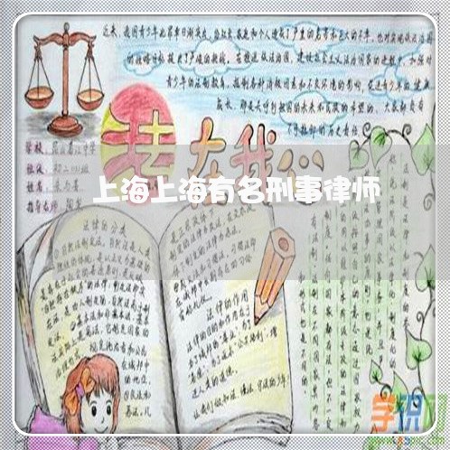 上海上海有名刑事律师/2023021403938 上海上海有名刑事律师/2023021403938