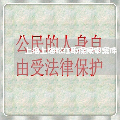上海上海松江取保候审案件/2023032170372 上海上海松江取保候审案件/2023032170372