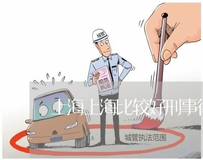 上海上海比较好刑事律师/2023030256282