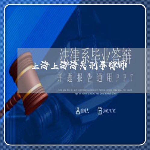 上海上海海关刑事律师/2023040909362