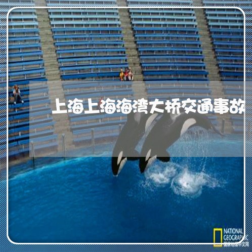 上海上海海湾大桥交通事故/2023032161480