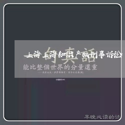 上海上海知识产权刑事诉讼/2023032137151