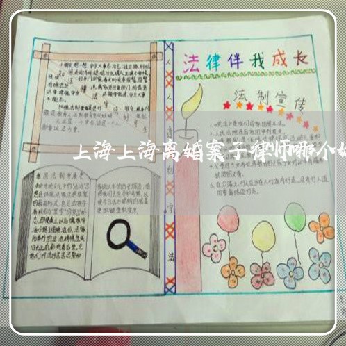 上海上海离婚案子律师哪个好/2023041443036