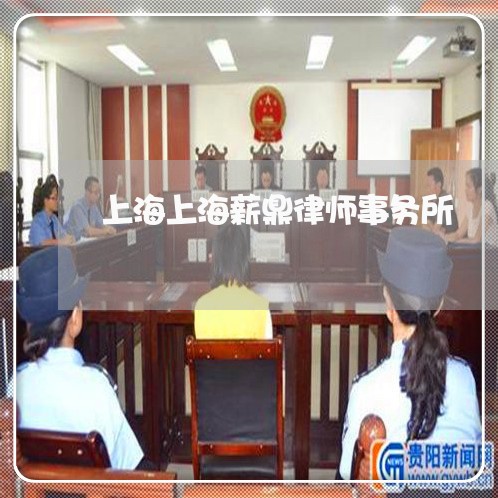 上海上海薪鼎律师事务所/2023030139481 上海上海薪鼎律师事务所/2023030139481