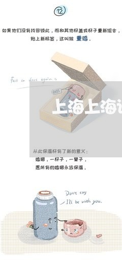 上海上海诈骗罪辩护网/2023040904028