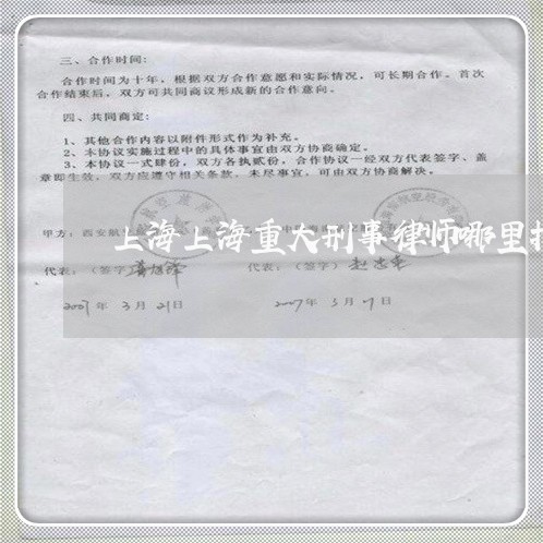 上海上海重大刑事律师哪里找/2023041471592