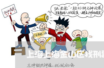 上海上海金山区找刑事律师/2023032104716