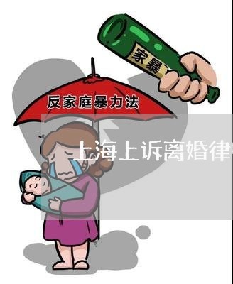 上海上诉离婚律师服务/2023040926258