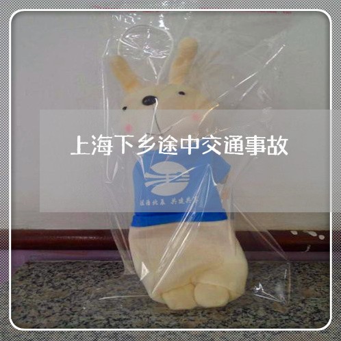 上海下乡途中交通事故/2023021458178 上海下乡途中交通事故/2023021458178