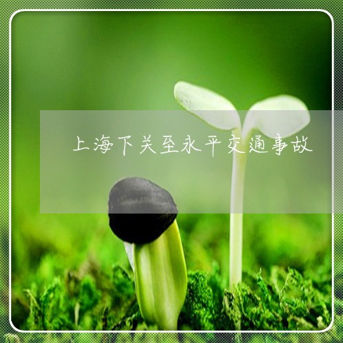 上海下关至永平交通事故/2023030173682