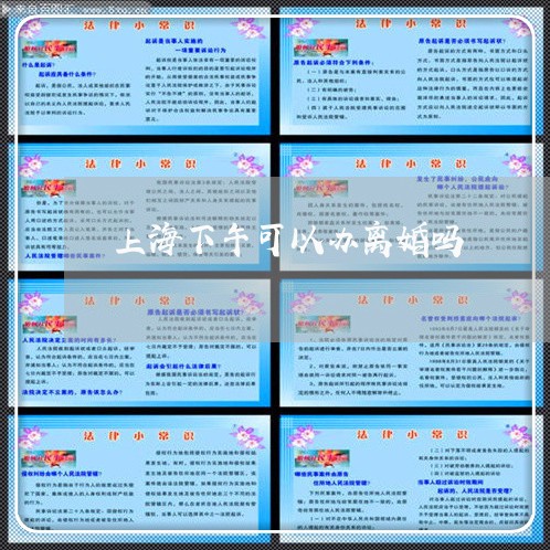上海下午可以办离婚吗/2023021442704 上海下午可以办离婚吗/2023021442704