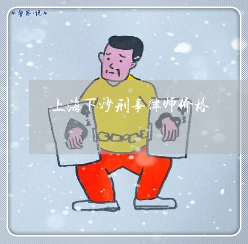 上海下沙刑事律师价格/2023040950595