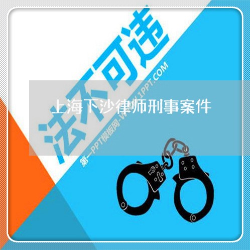 上海下沙律师刑事案件/2023040962692