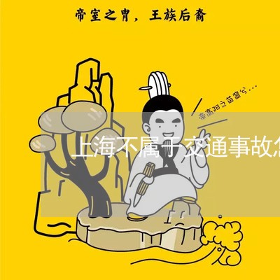 上海不属于交通事故怎么办/2023032186046