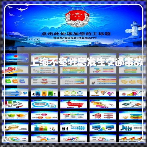 上海不牵牲畜发生交通事故/2023032138160