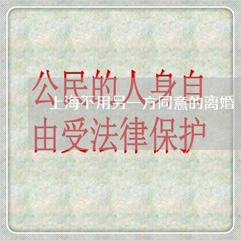 上海不用另一方同意的离婚/2023032196936