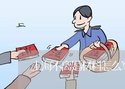 上海不离婚材料怎么写/2023040929370