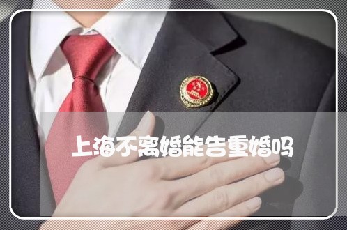 上海不离婚能告重婚吗/2023040936371