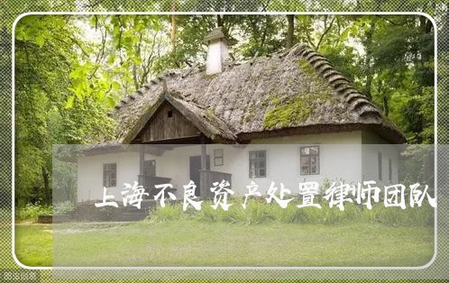 上海不良资产处置律师团队/2023032184734 上海不良资产处置律师团队/2023032184734
