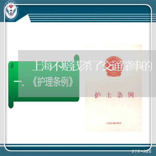 上海不赔钱杀了交通肇事的/2023032127050