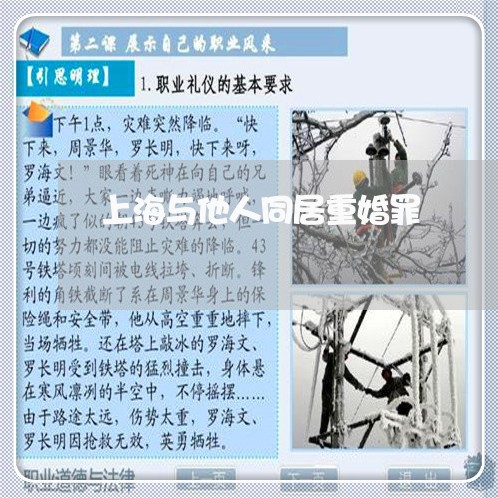 上海与他人同居重婚罪/2023021433936