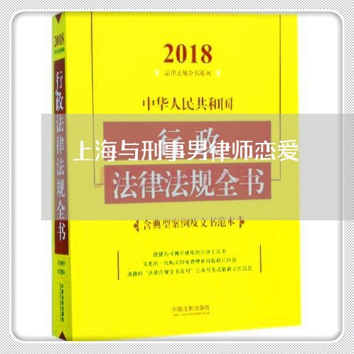 上海与刑事男律师恋爱/2023040994936