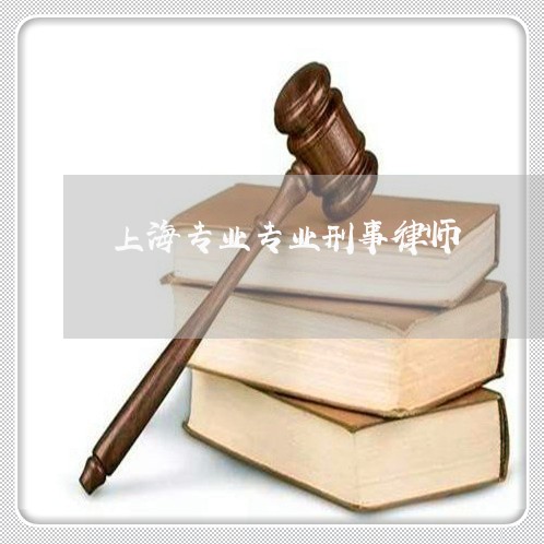 上海专业专业刑事律师/2023040931581