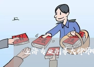 上海专业刑事大律师哪个好/2023032191724 上海专业刑事大律师哪个好/2023032191724