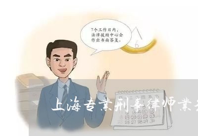 上海专业刑事律师业务/2023040934949