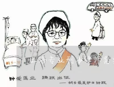 上海专业刑事律师需要多少钱/2023041415837