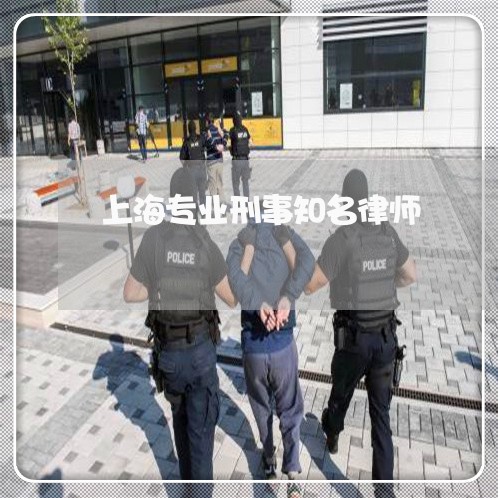 上海专业刑事知名律师/2023040957491