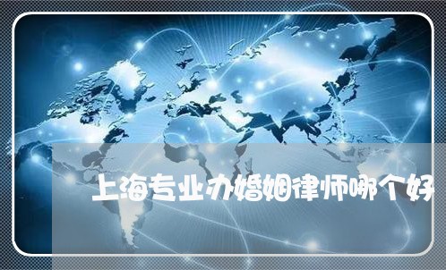 上海专业办婚姻律师哪个好/2023032107139