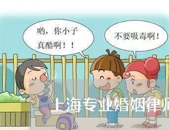 上海专业婚姻律师一般怎么收费