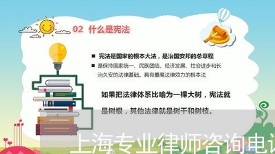 上海专业律师咨询电话/2023040937472