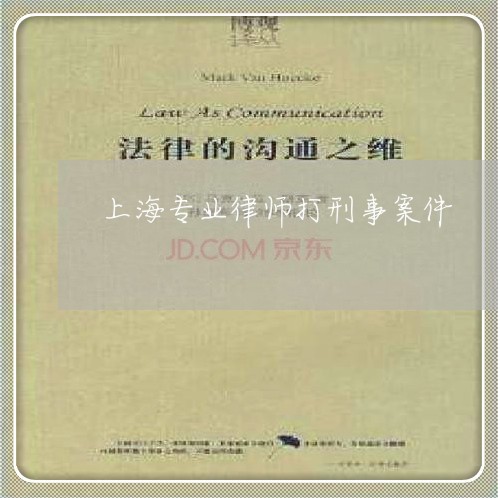 上海专业律师打刑事案件/2023030296948