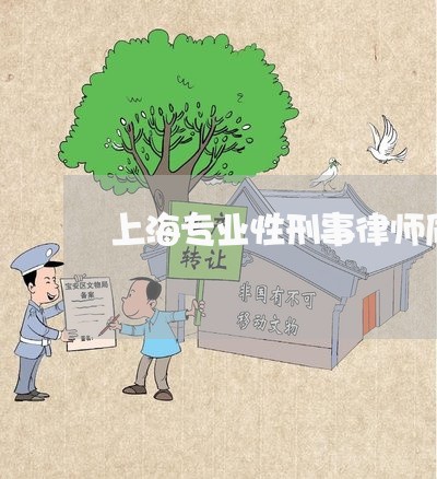 上海专业性刑事律师质量保证/2023041446250