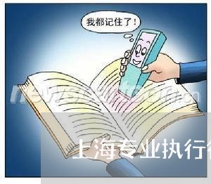 上海专业执行律师团队/2023040919460