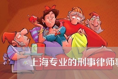 上海专业的刑事律师事务所/2023032137158